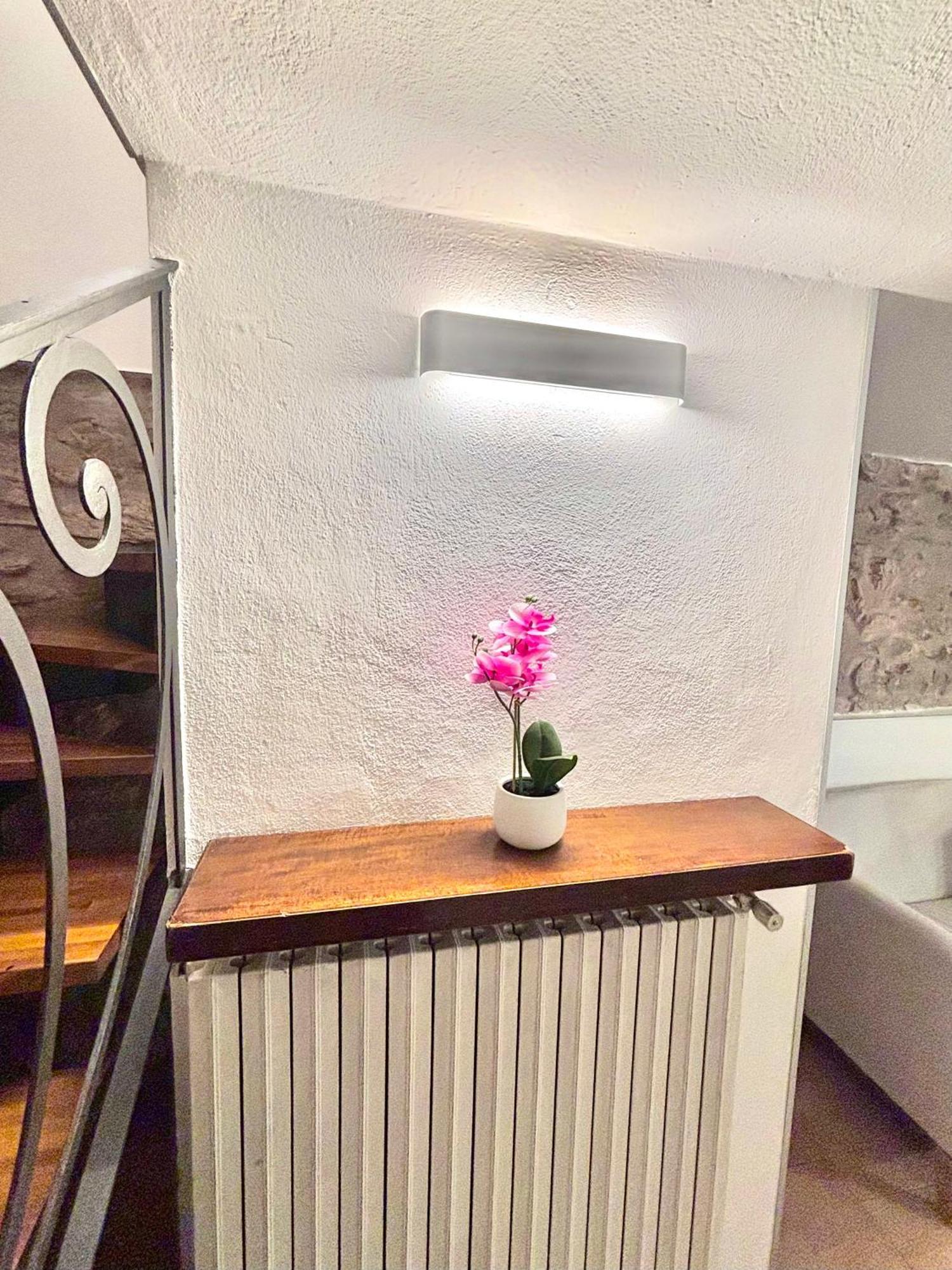 Vittoria Holiday House - Tulip Apartment And Tulip Room Стреза Екстериор снимка